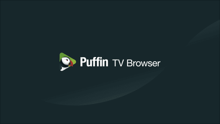 use-puffin-browser-on-mitv-stick-2